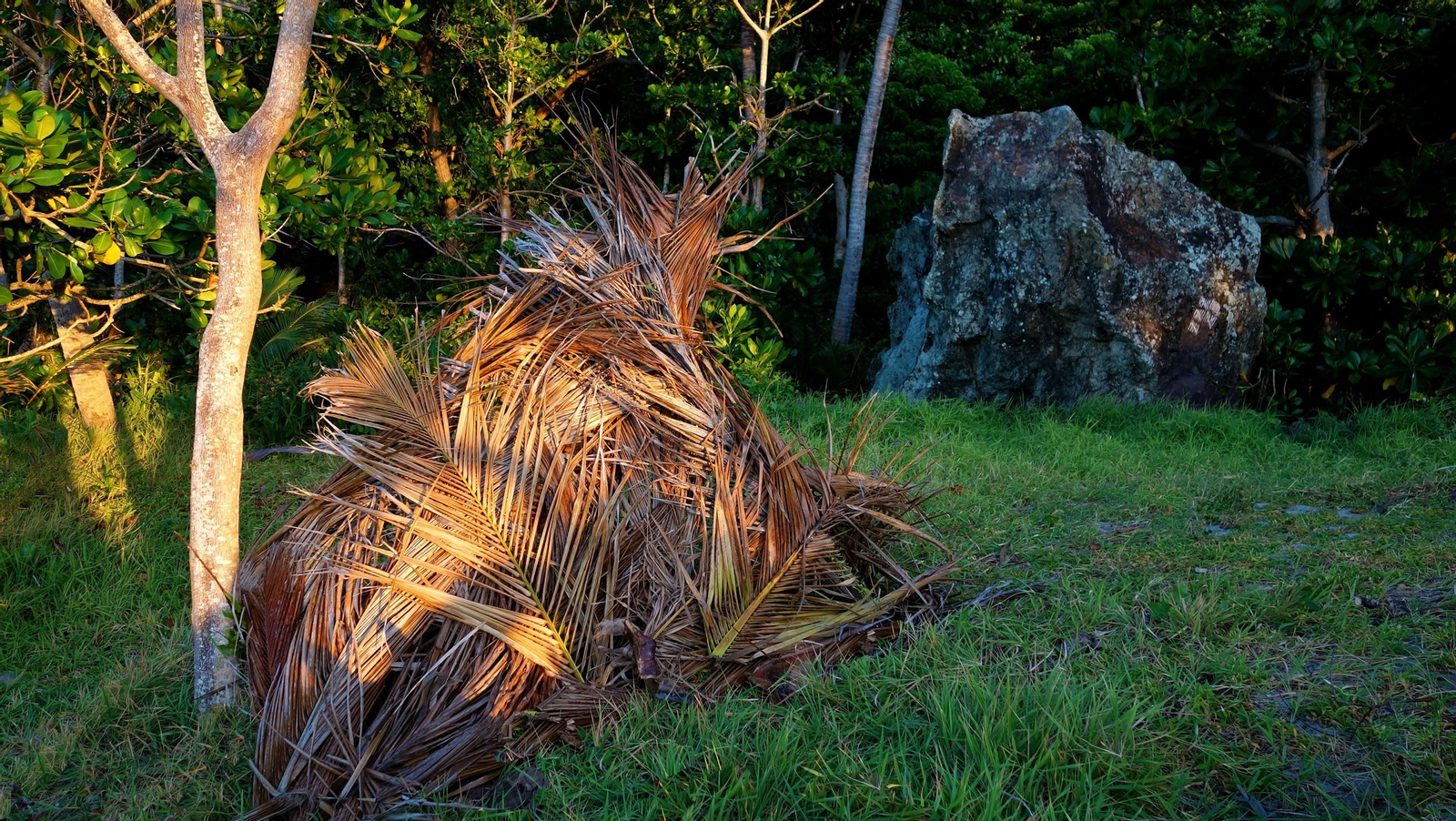 Las aventuras que ofrece Docastaway