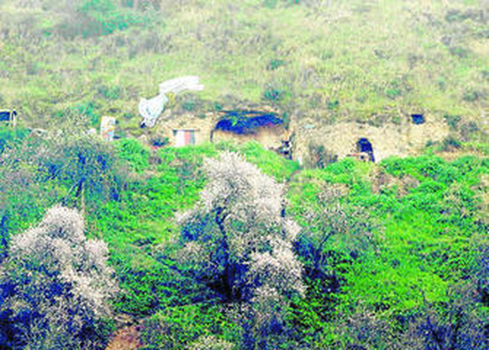 Los vecinos del Sacromonte denunciaron la existencia de okupas en las cuevas.