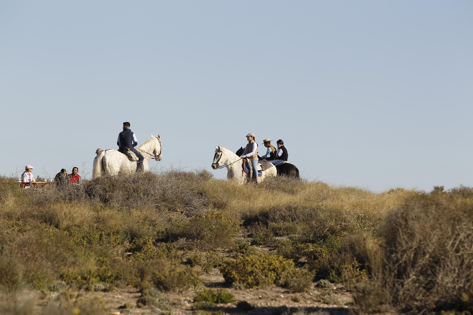 Fotogalería Romería de Torregarcía. Almería