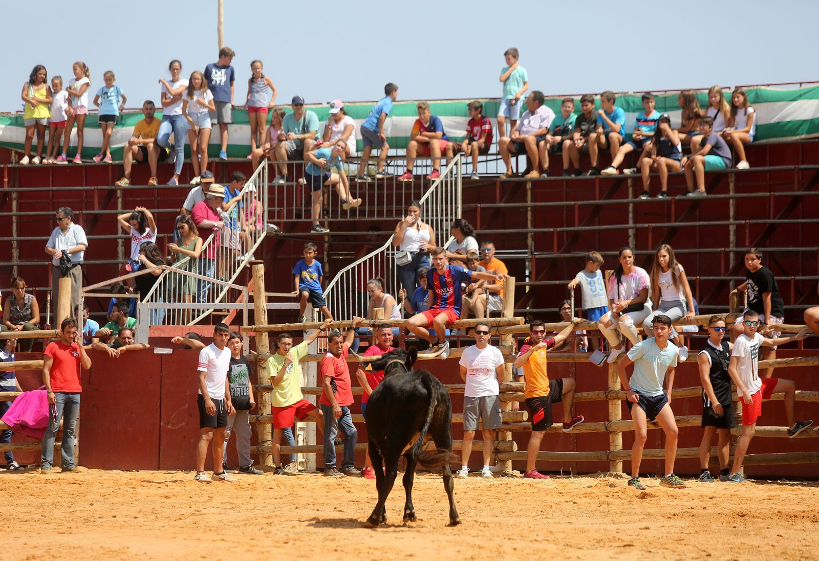 Capeas de Trigueros en imágenes