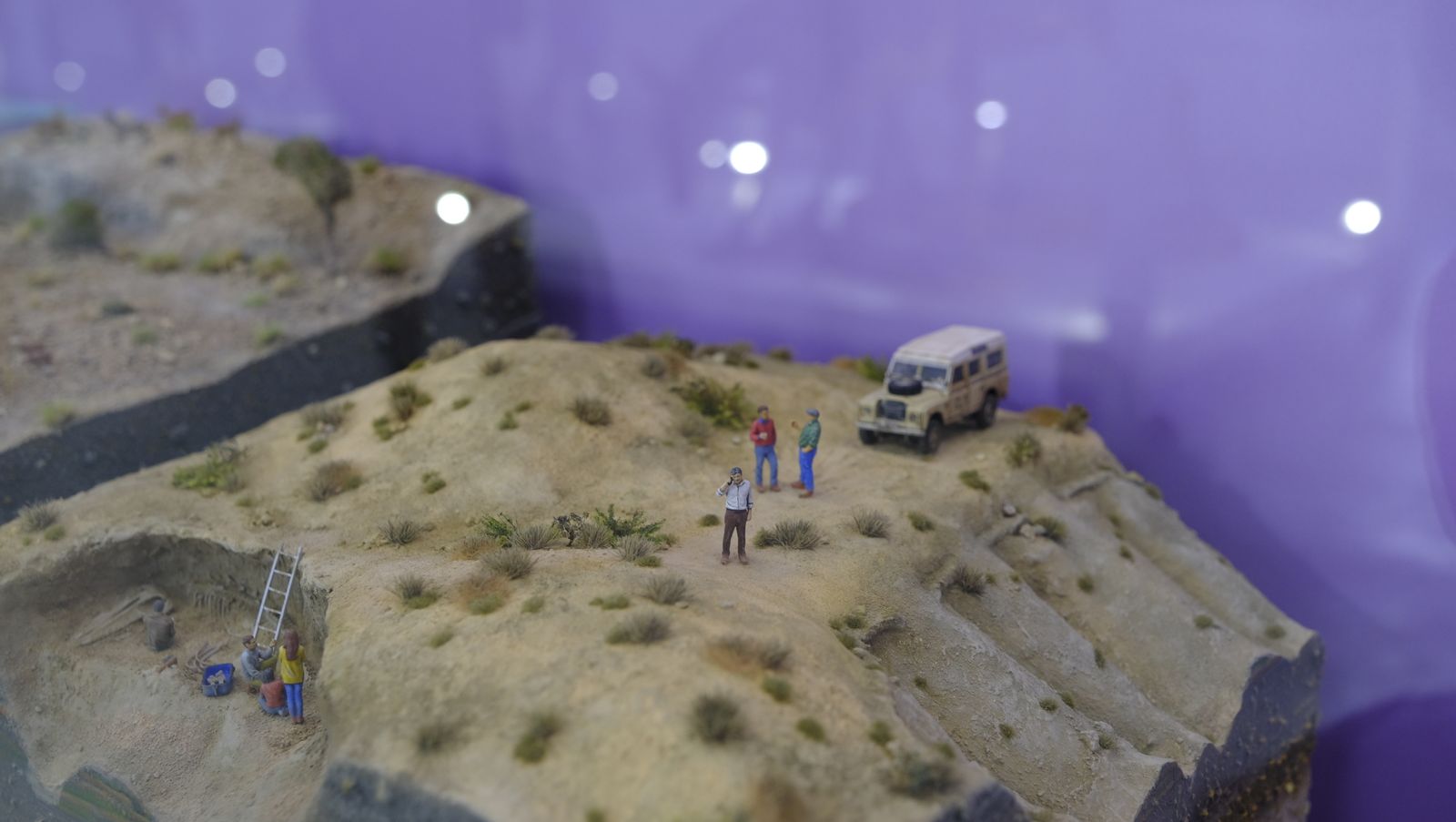 Las mejores imágenes del Pabellón de Historia Natural de la UAL