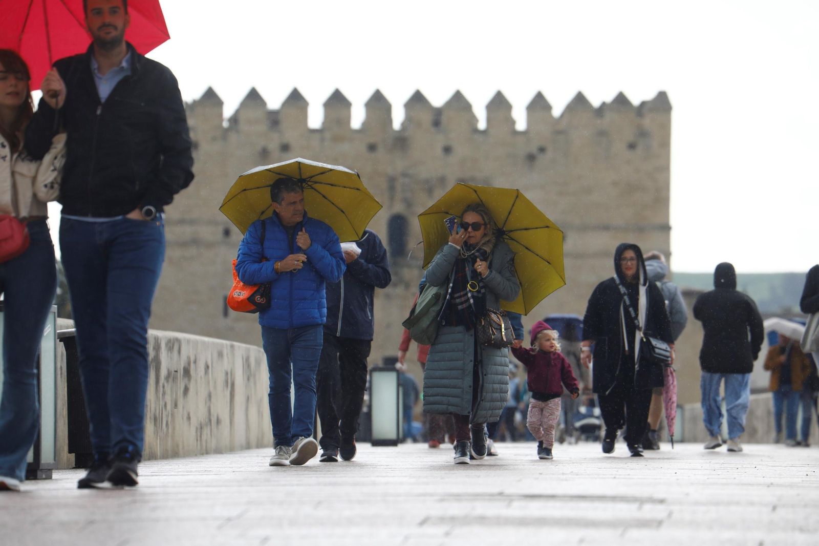 El paso de la borrasca Nuria por Córdoba, en imágenes