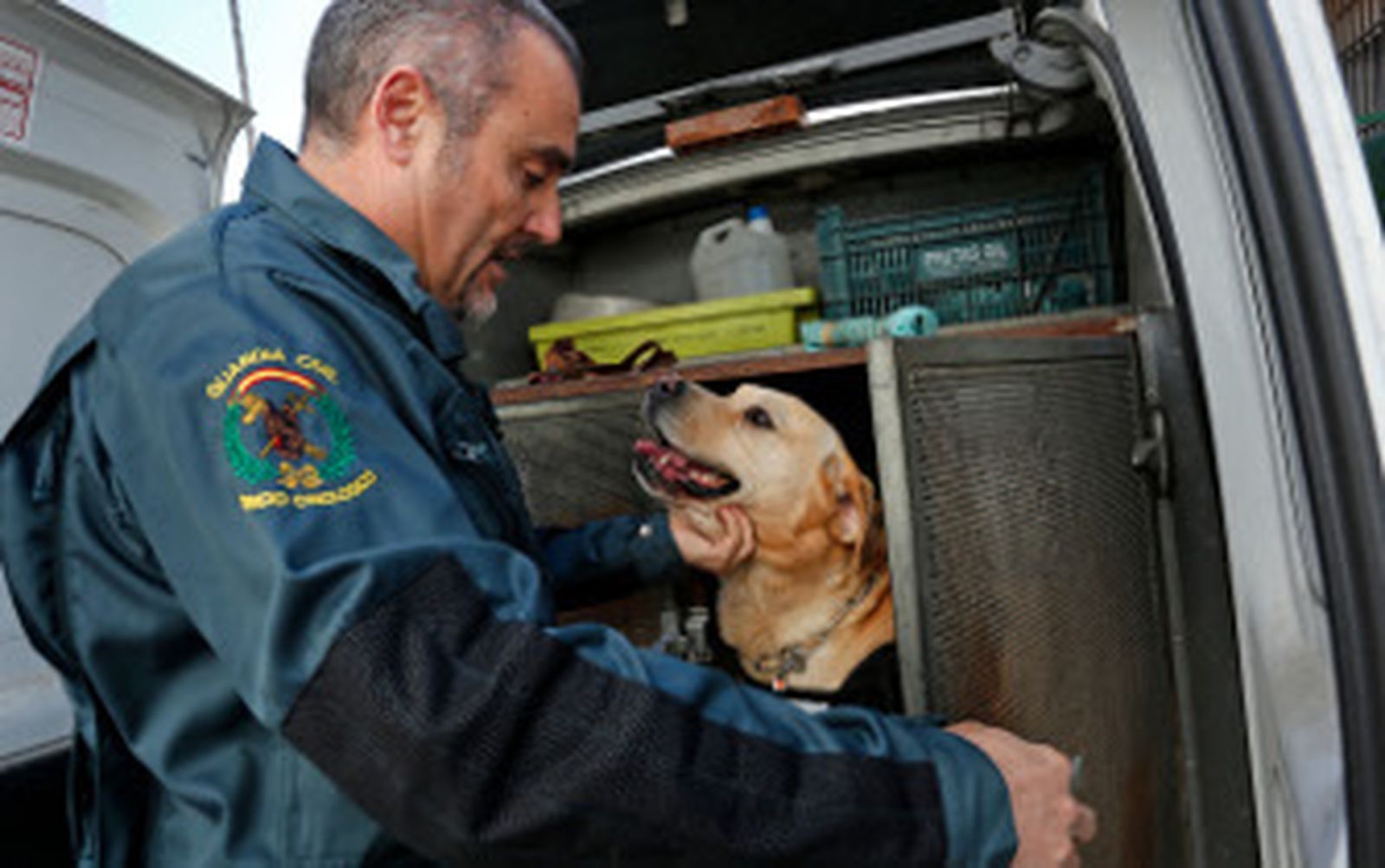 El peor amigo del narco