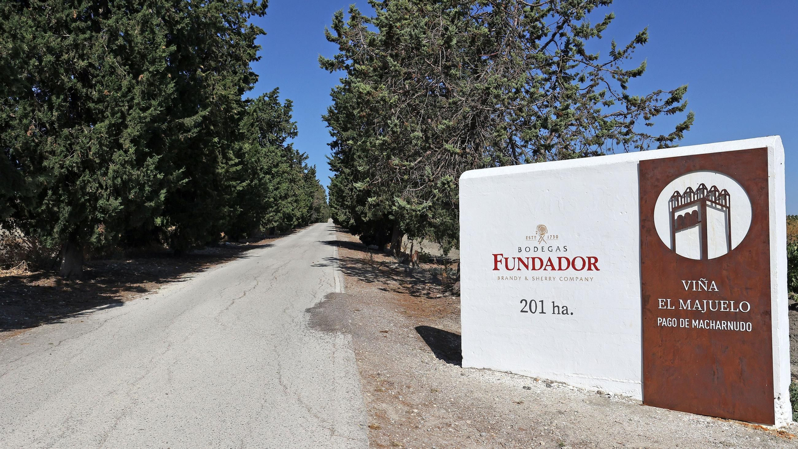 Fundador comienza su vendimia en Jerez