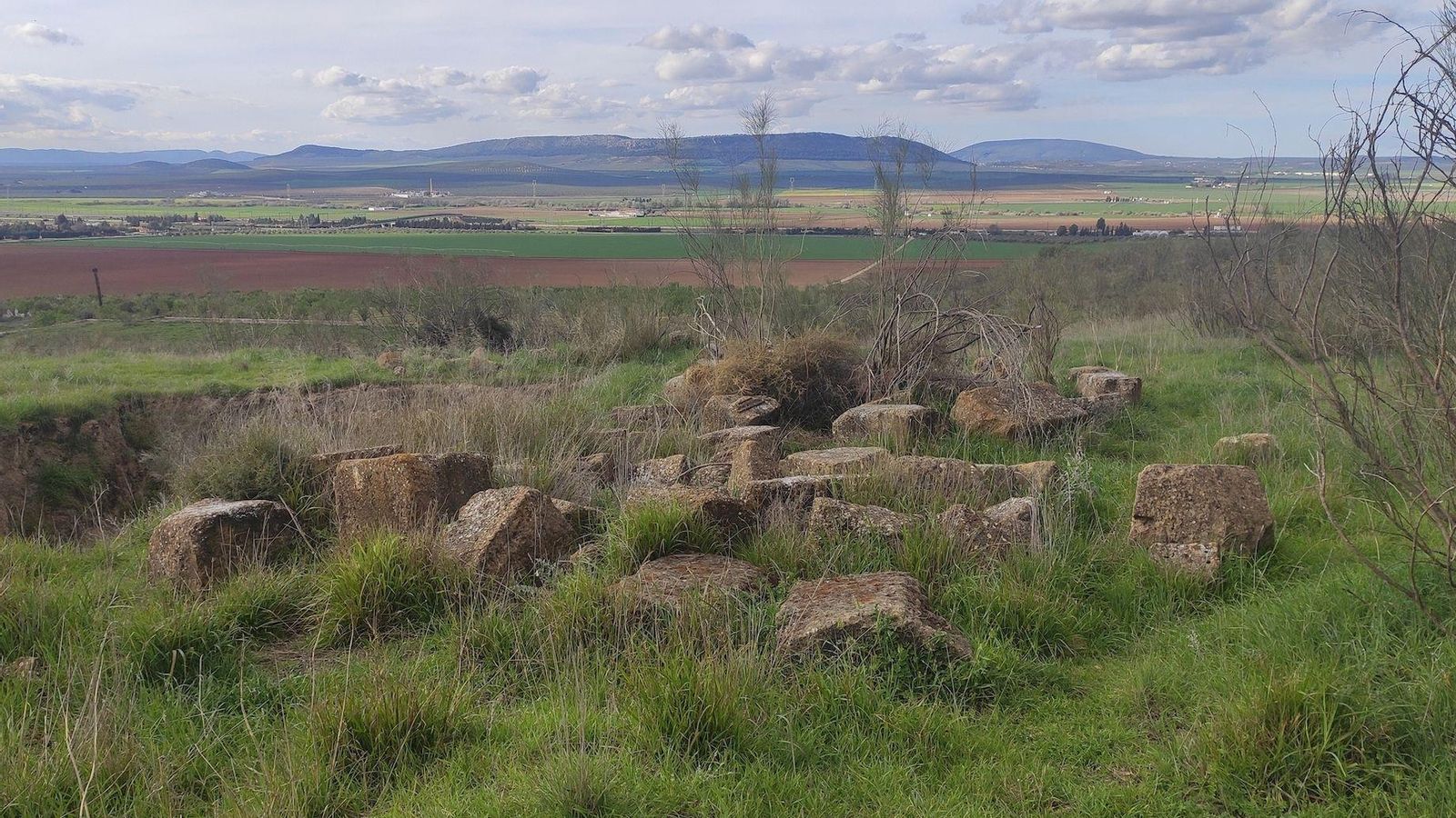 Restos de Singilia Barba que sigue enterrada y está en la Lista Roja de Patrimonio. Restos de Singilia Barba que sigue enterrada y está en la Lista Roja de Patrimonio.
