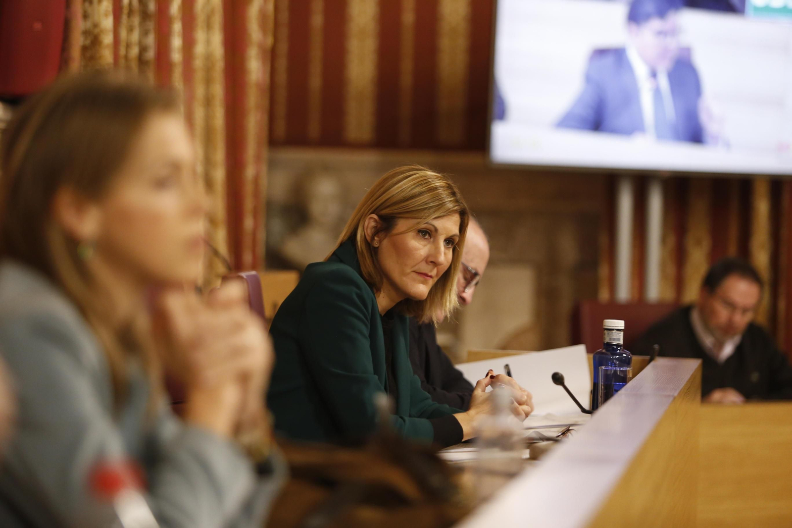 La concejal Ana Jáuregui en una sesión plenaria.