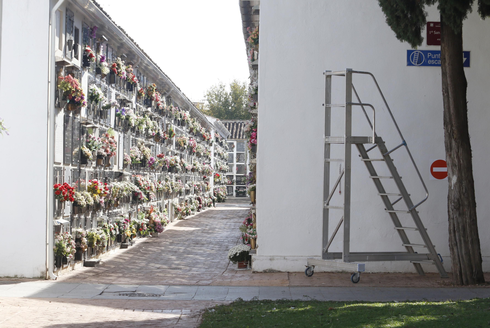 las fotos del día de Todos los Santos