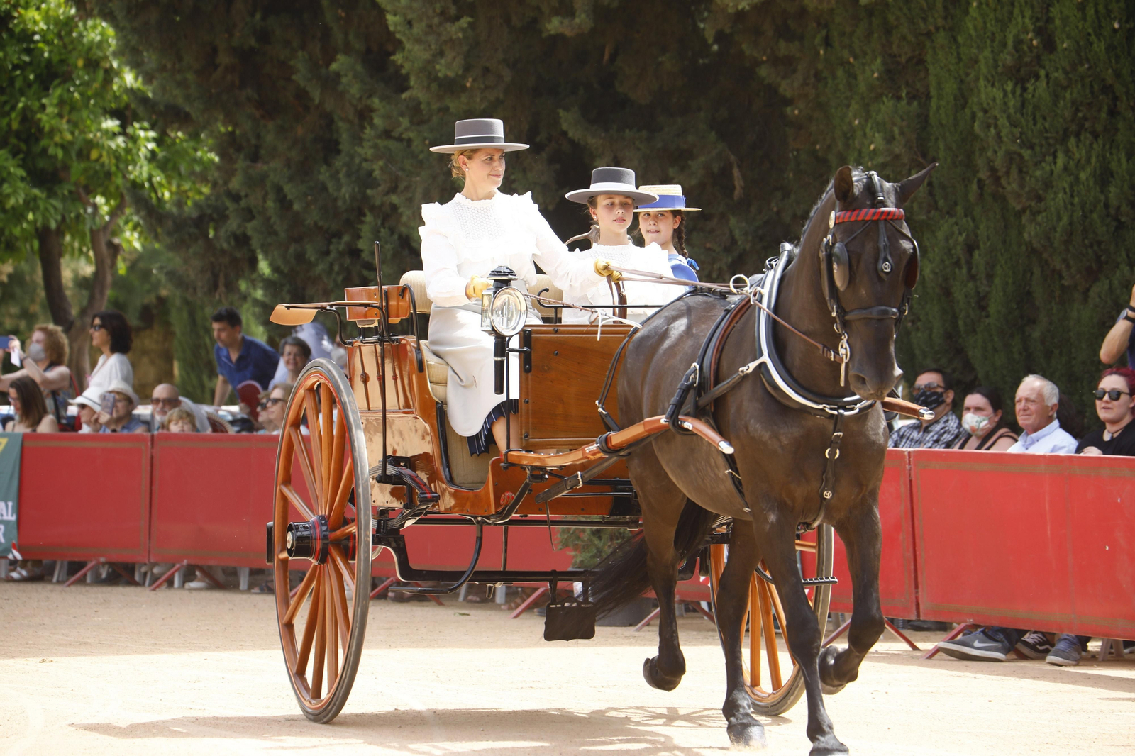 La Exhibición de Carruajes de Tradición de la Feria de Córdoba, en imágenes