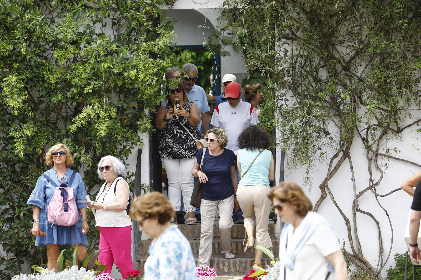 La jornada de puertas abiertas en el Palacio de Viana de Cordoba, en imágenes