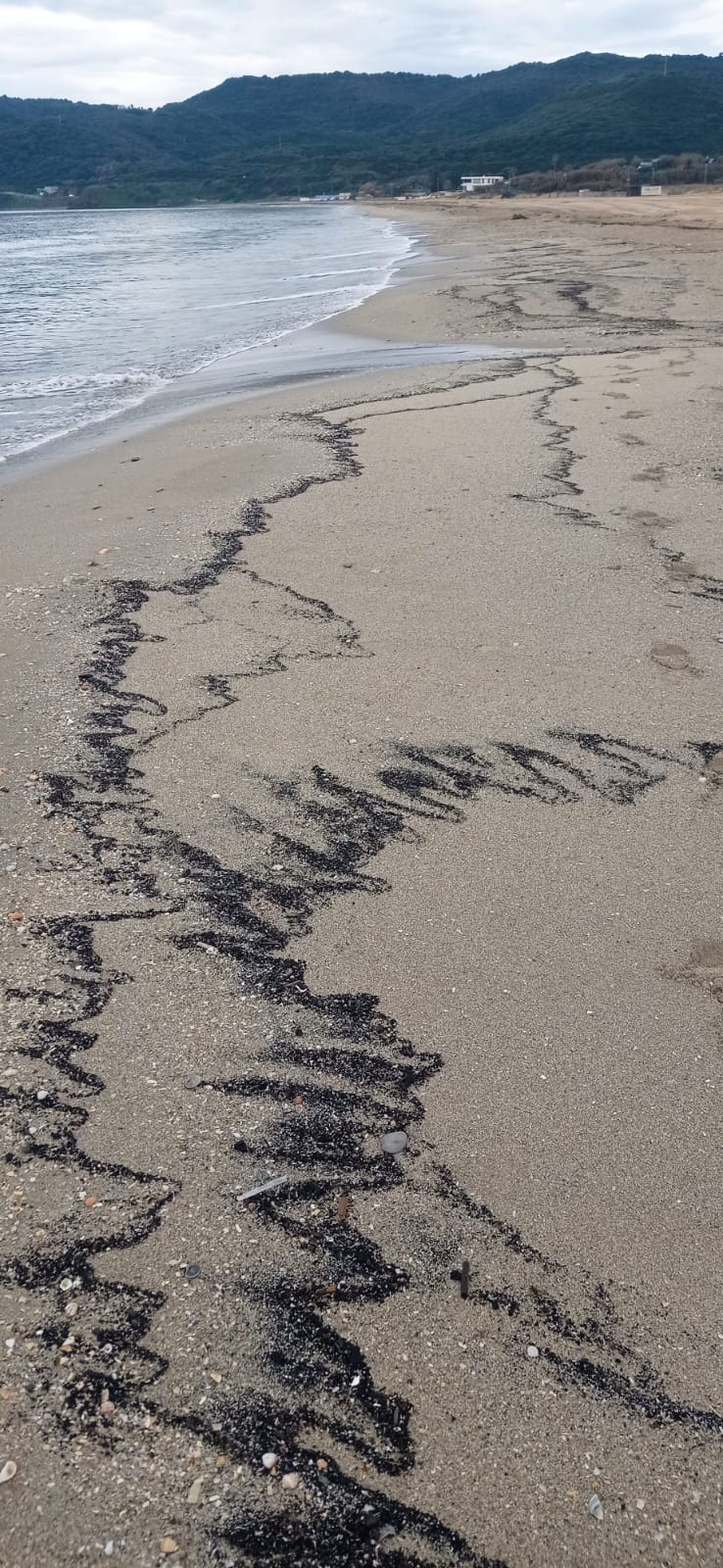 La playa algecireña de Getares, este miércoles a primera hora.