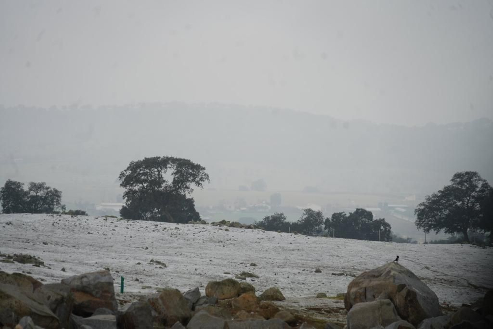 La nieve tiñe de blanco Pozoblanco. La nieve tiñe de blanco Los Pedroches.