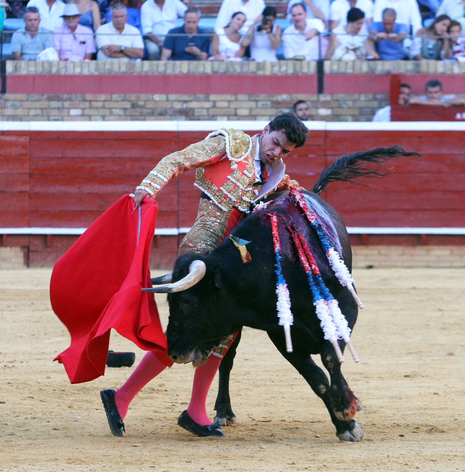 Imágenes de la Novillada de Rafael Serna, Emilio Silvera y Rodrigo Molina.