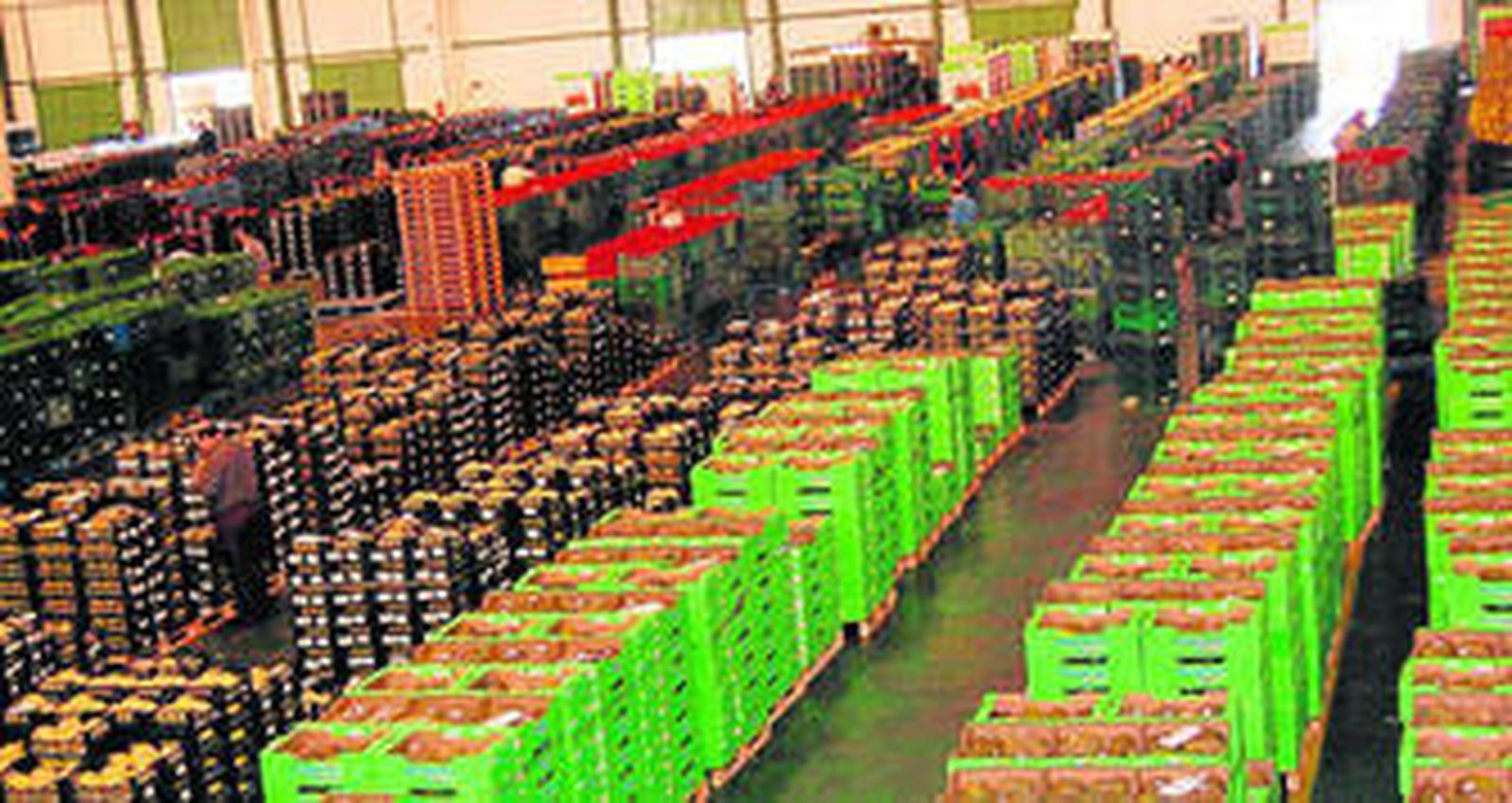 El Grupo Agroponiente busca crecer en tamaño con una operación de concentración de la oferta con Nature Choice.