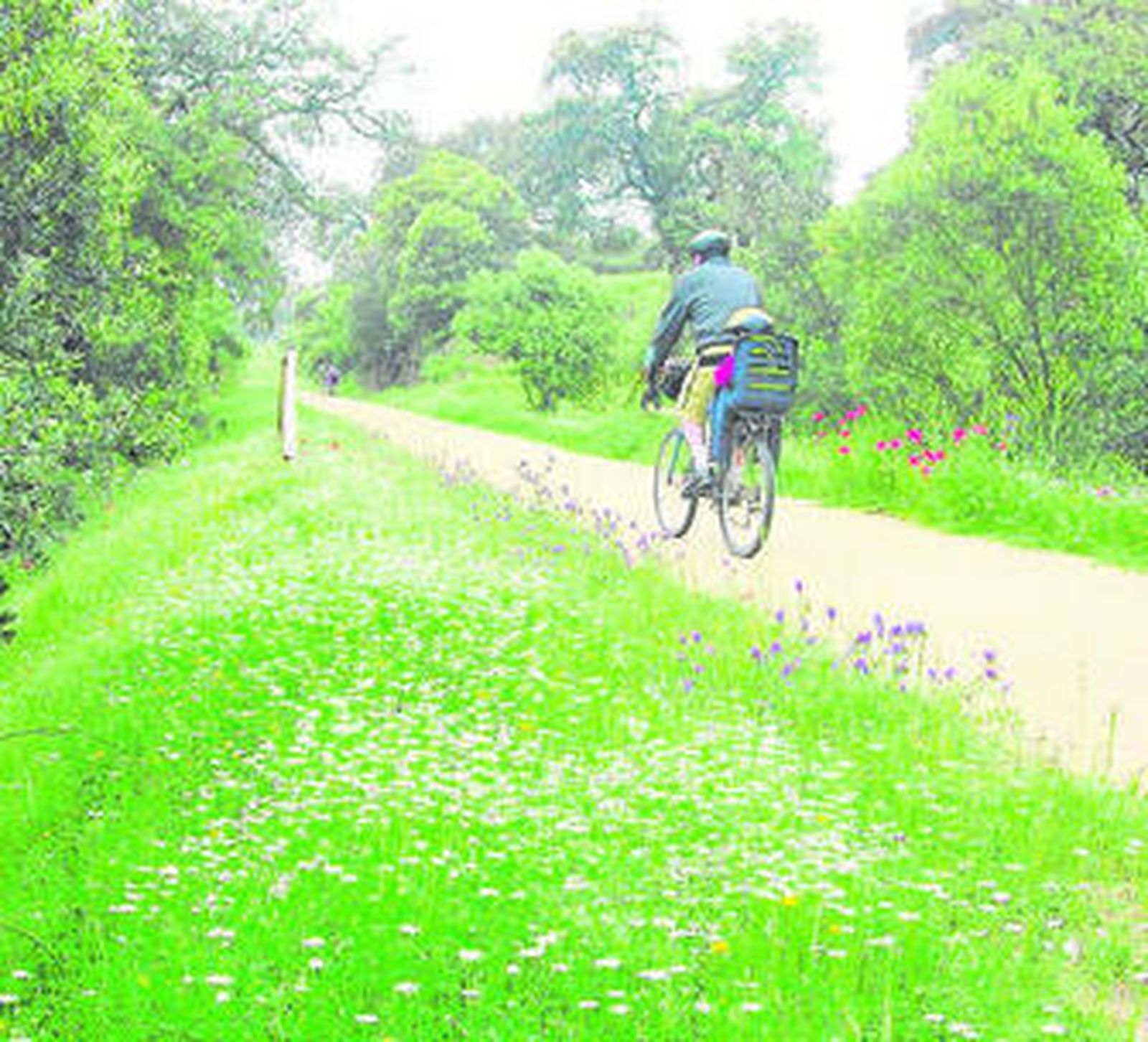 La Vía Verde de la Sierra Norte.