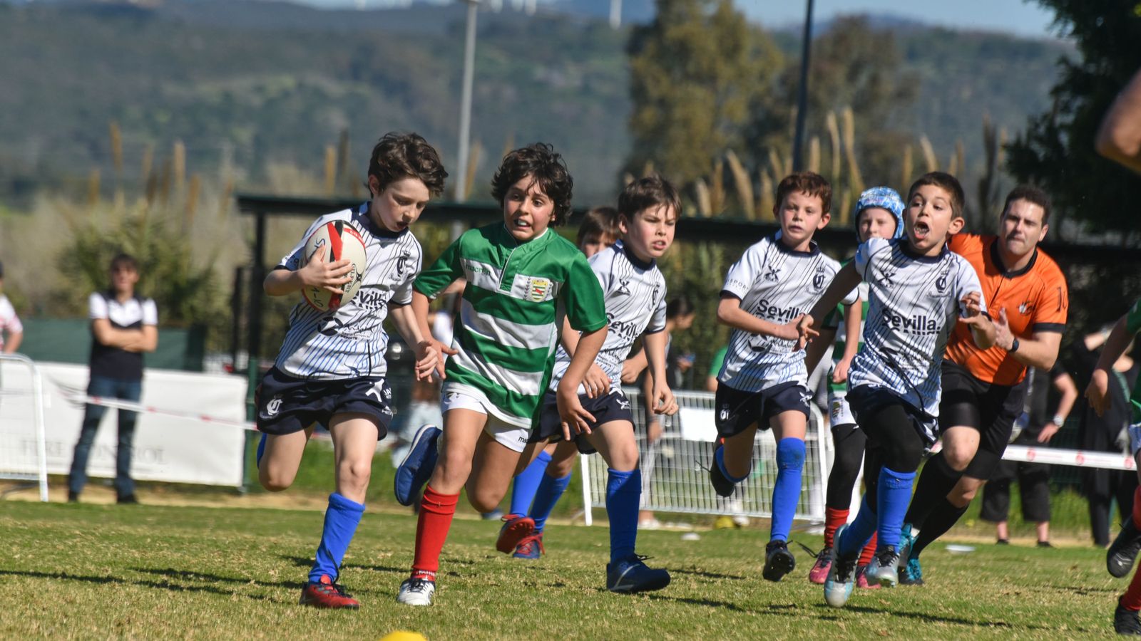 Las fotos del Festival Andaluz de rugby gradual en Pueblo Nuevo de Guadiaro