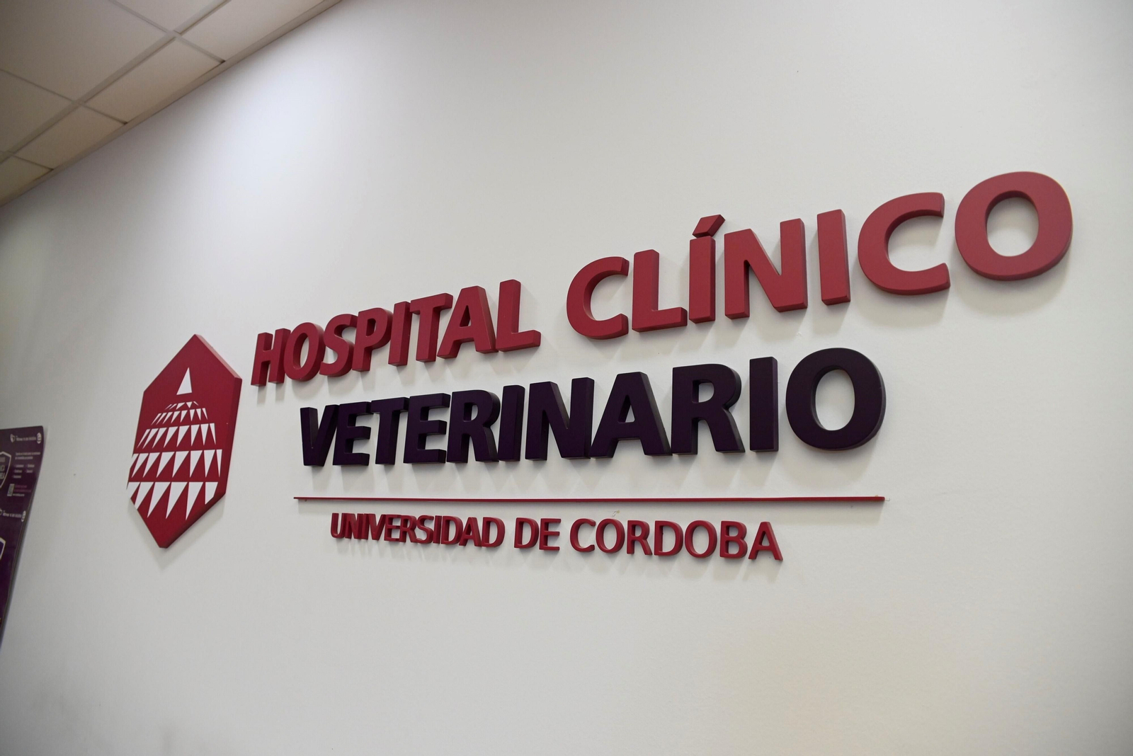 El Hospital Veterinario de la Universidad de Córdoba, en imágenes