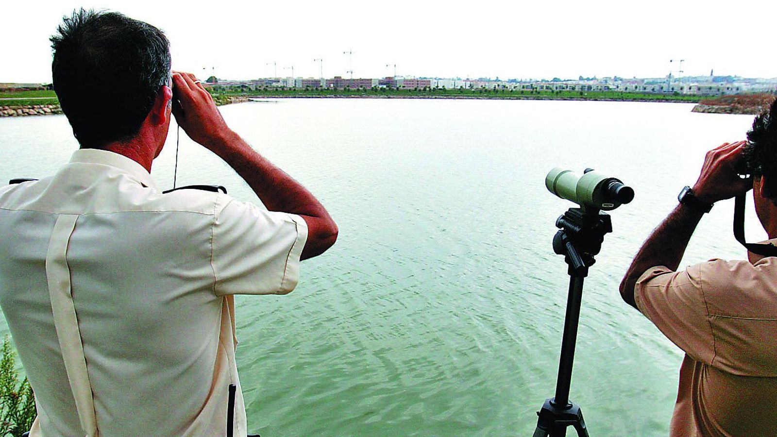 Especialistas de Medio Ambiente vigilando la laguna de Torrox en busca del cocodrilo.