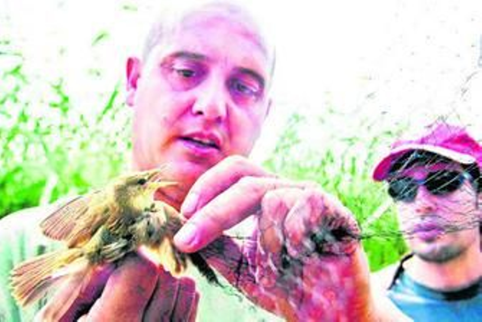 Durante 2009 se han censado 2.798 aves de 23 especies diferentes.