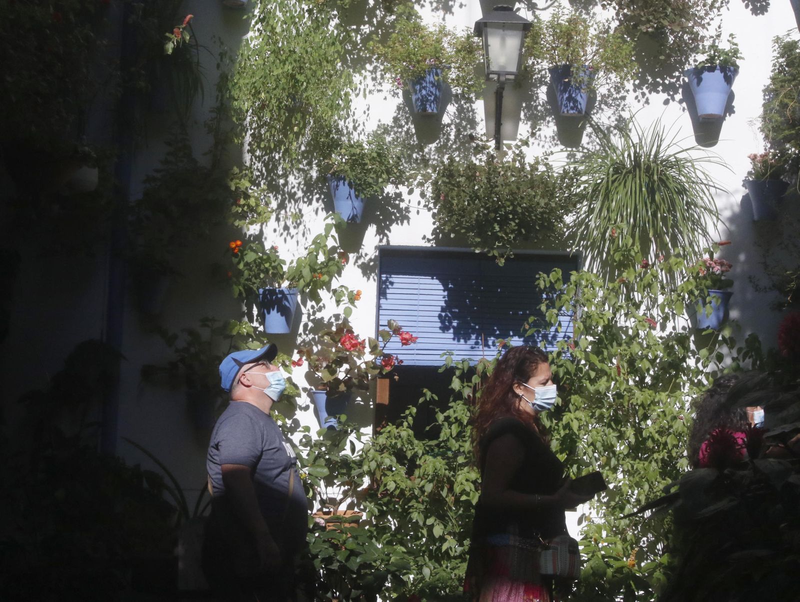 Los Patios en otoño, en fotografías