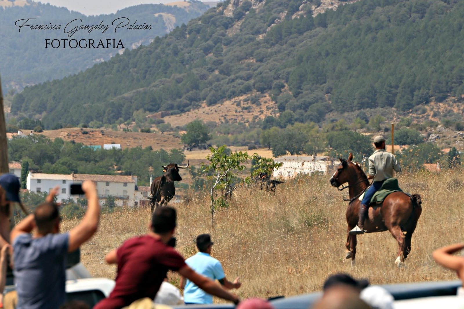 Saltos y fintas de vértigo en los encierros de Santiago de la Espada, en imágenes