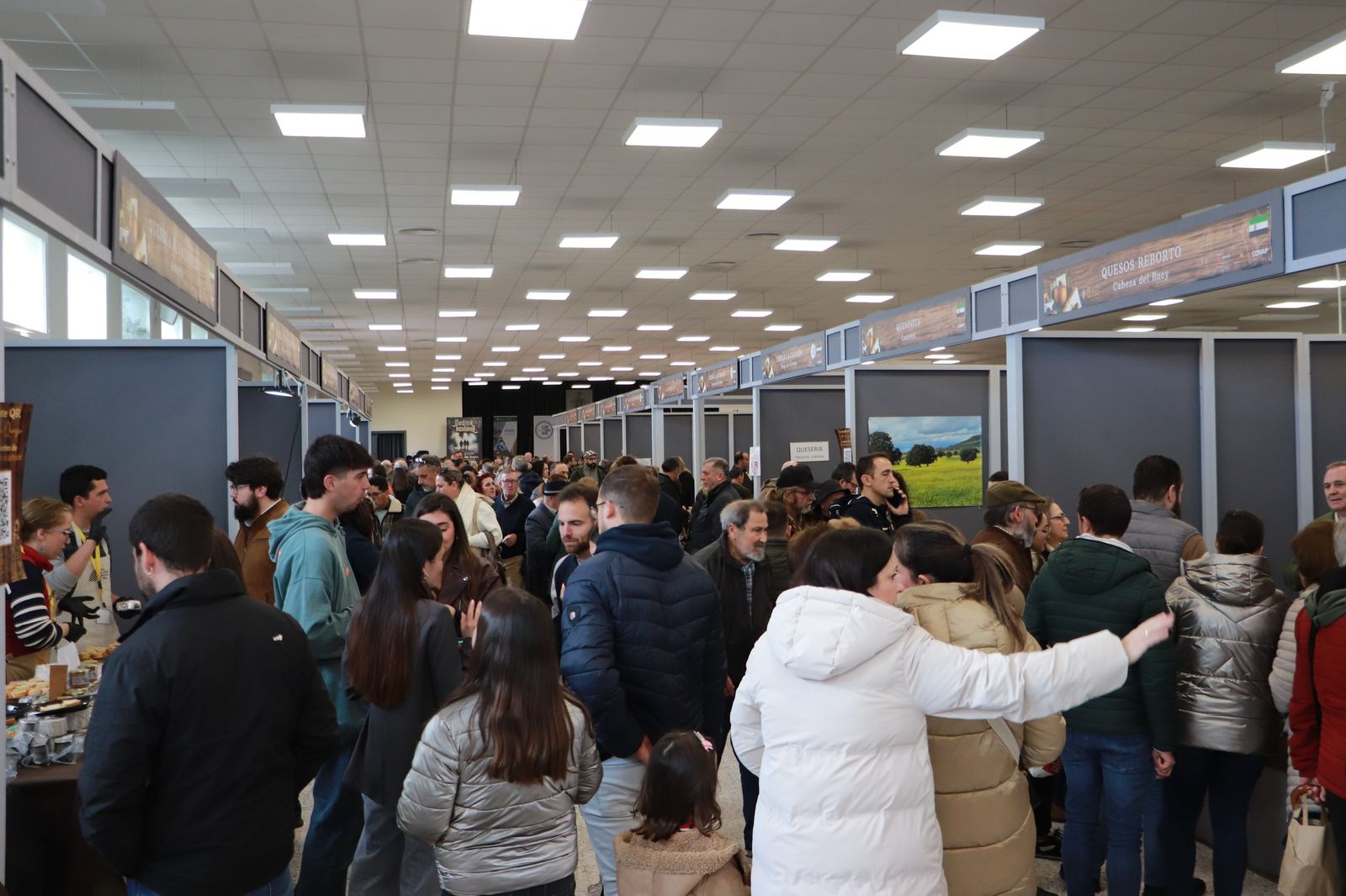 Las mejores imágentes del último día de la Feria del Queso de Los Pedroches