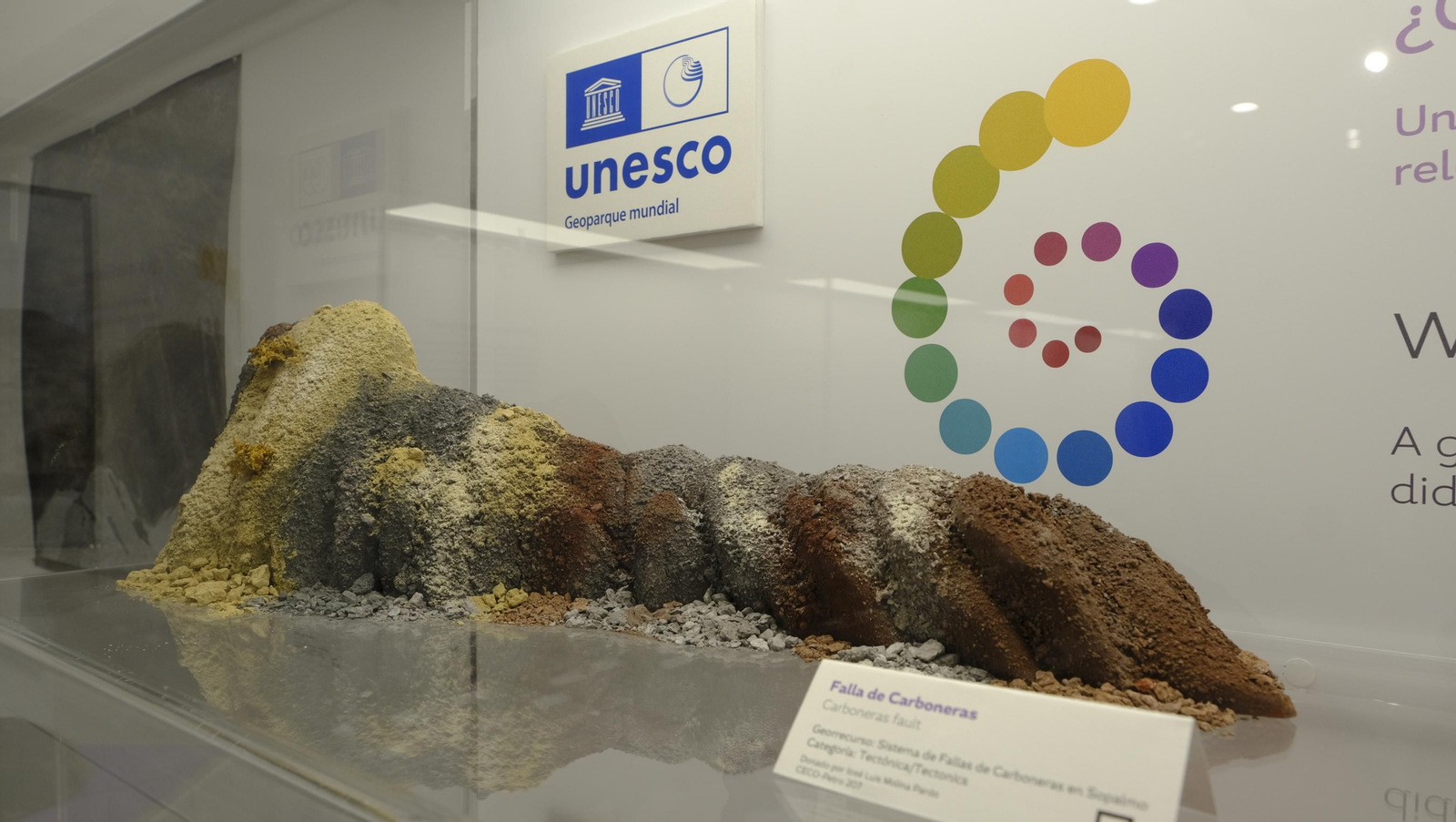 Descubre en estas fotos las maravillas que esconde el Pabellón de Historia Natural de la UAL