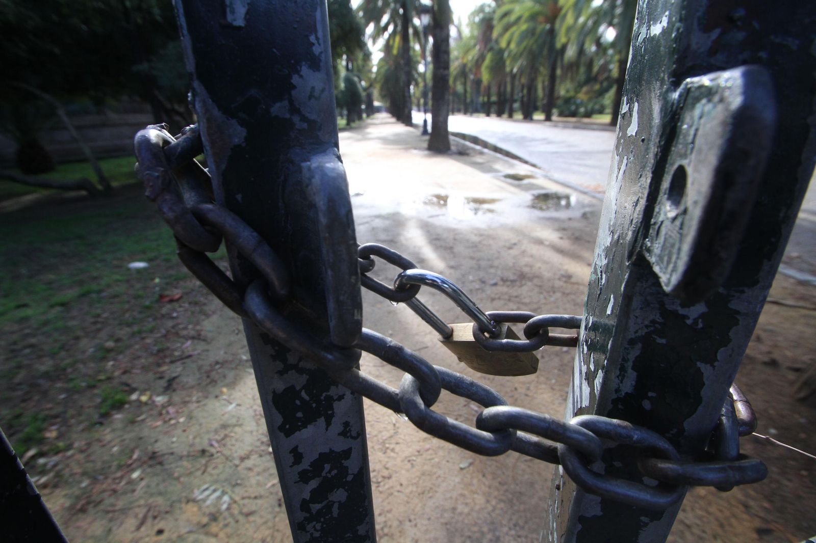 Una imagen de archivo de una puerta del Parque de María Luisa cerrada por un temporal.