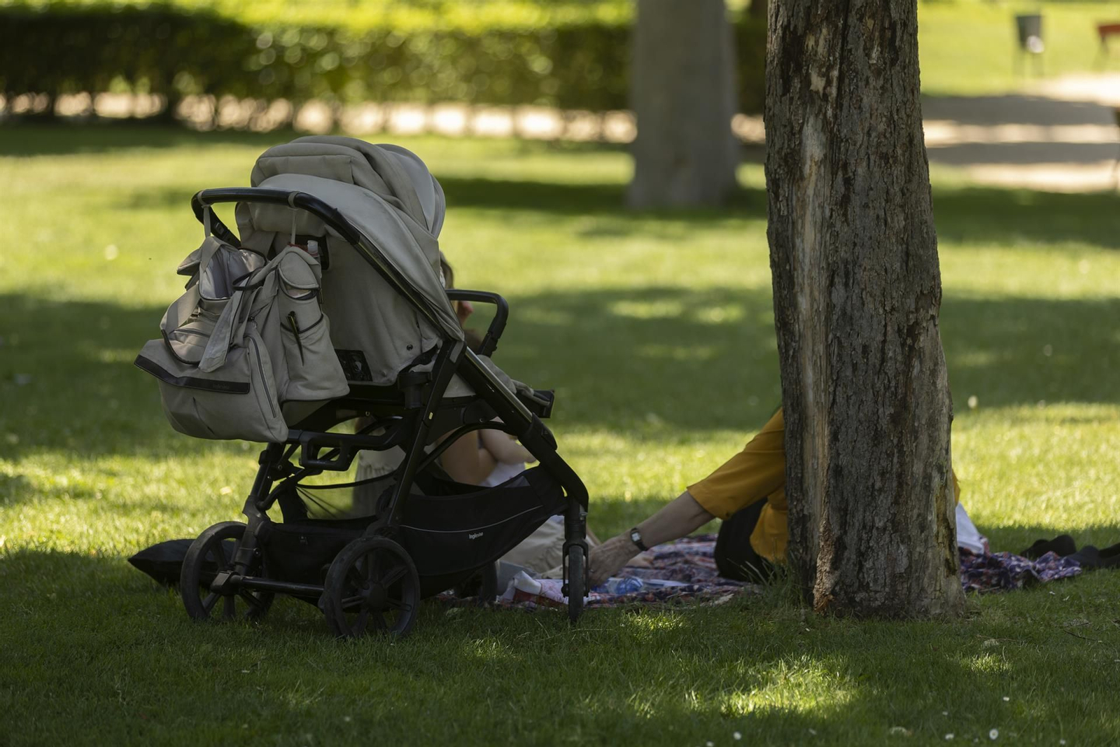 Una imagen de archivo de una familia en un parque