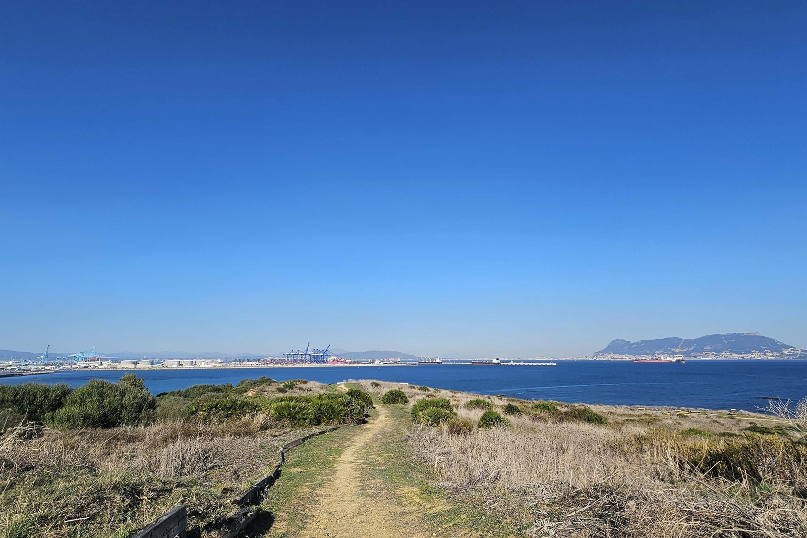 Fotografías del estado del Parque del Centenario de Algeciras