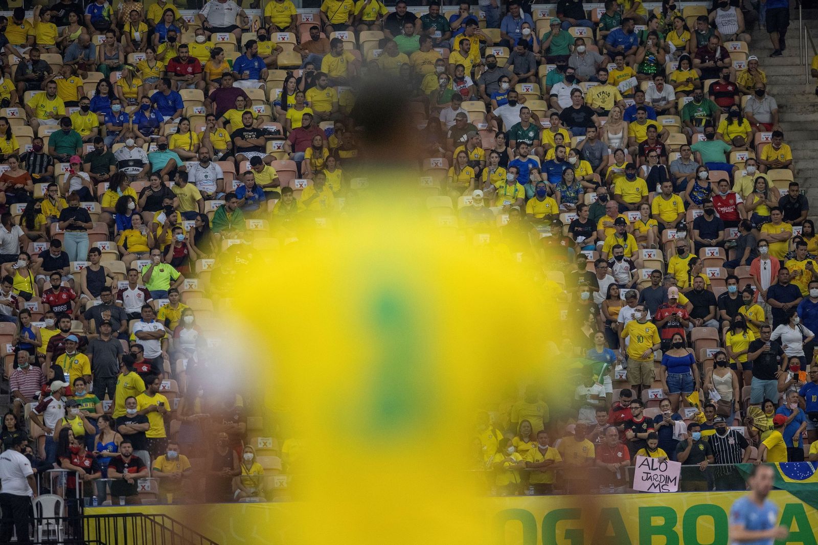 Público en las gradas del estadio de Manaus asistente a la victoria de Brasil.