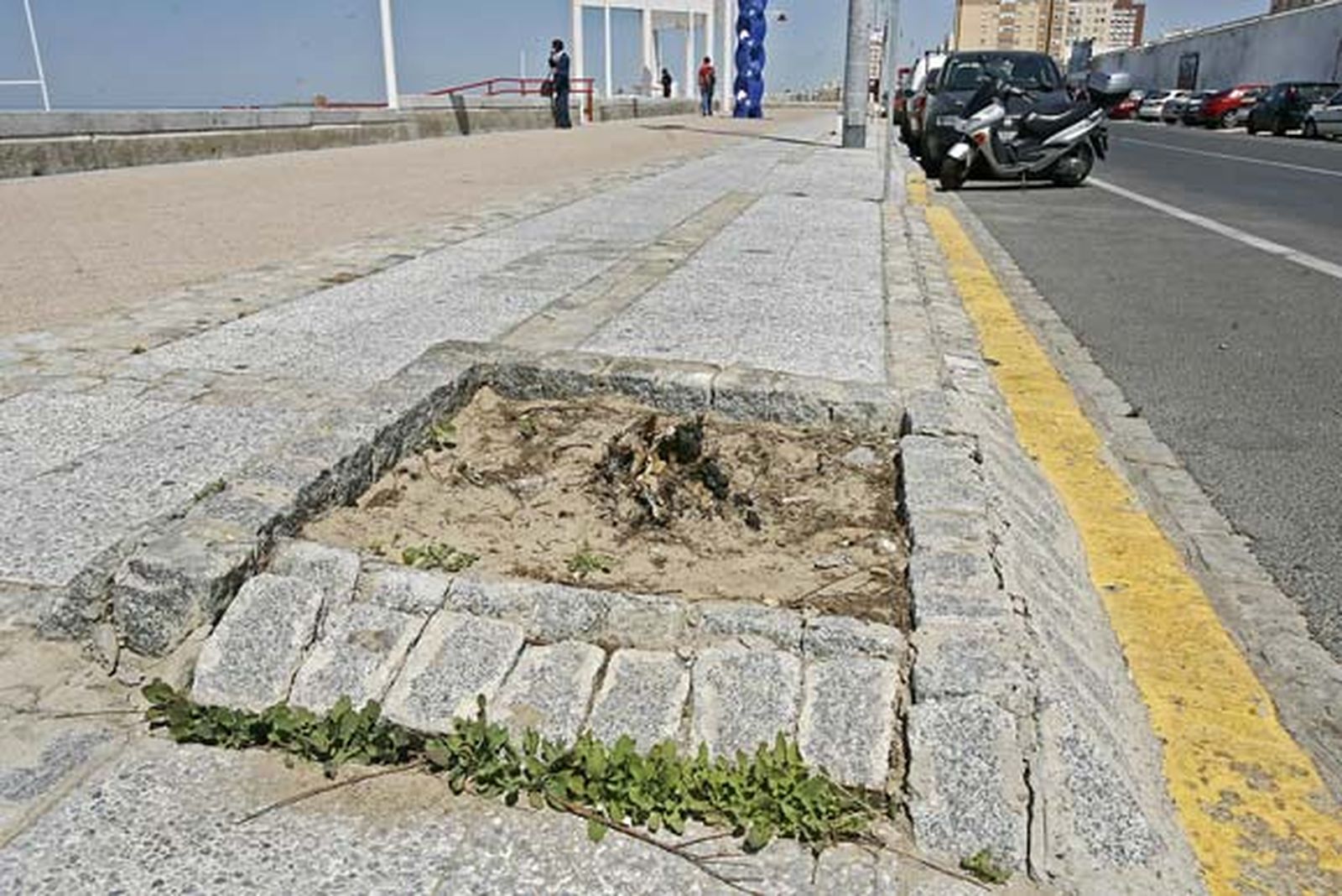 Decenas de operarios se afanan estos días por dejar la zona estrella del verano gaditano en perfecto estado./Joaquín Pino

Foto: Joaquin Pino