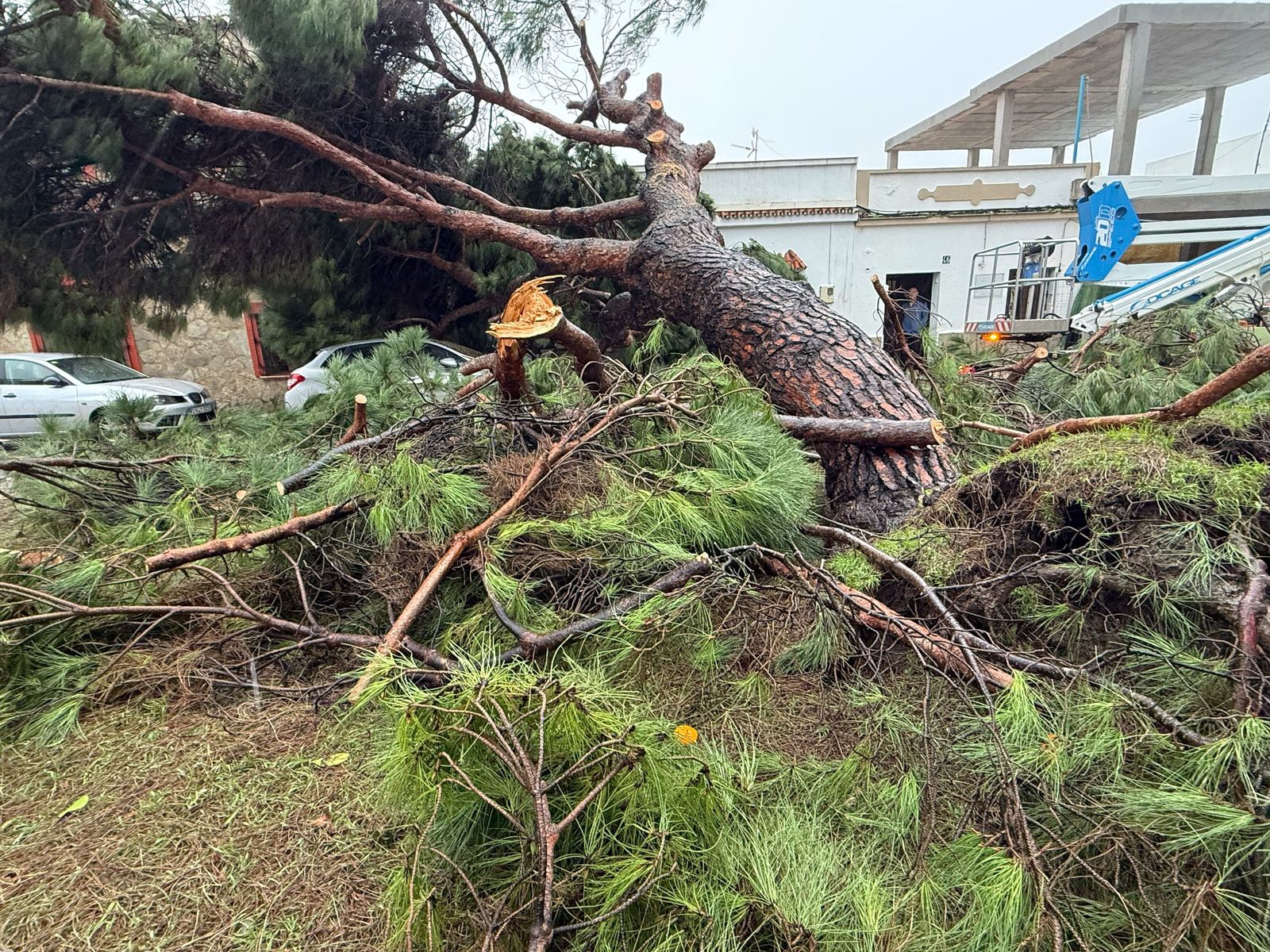 Fotos: Así amaneció el Campo de Gibraltar tras el paso de la borrasca Leonardo