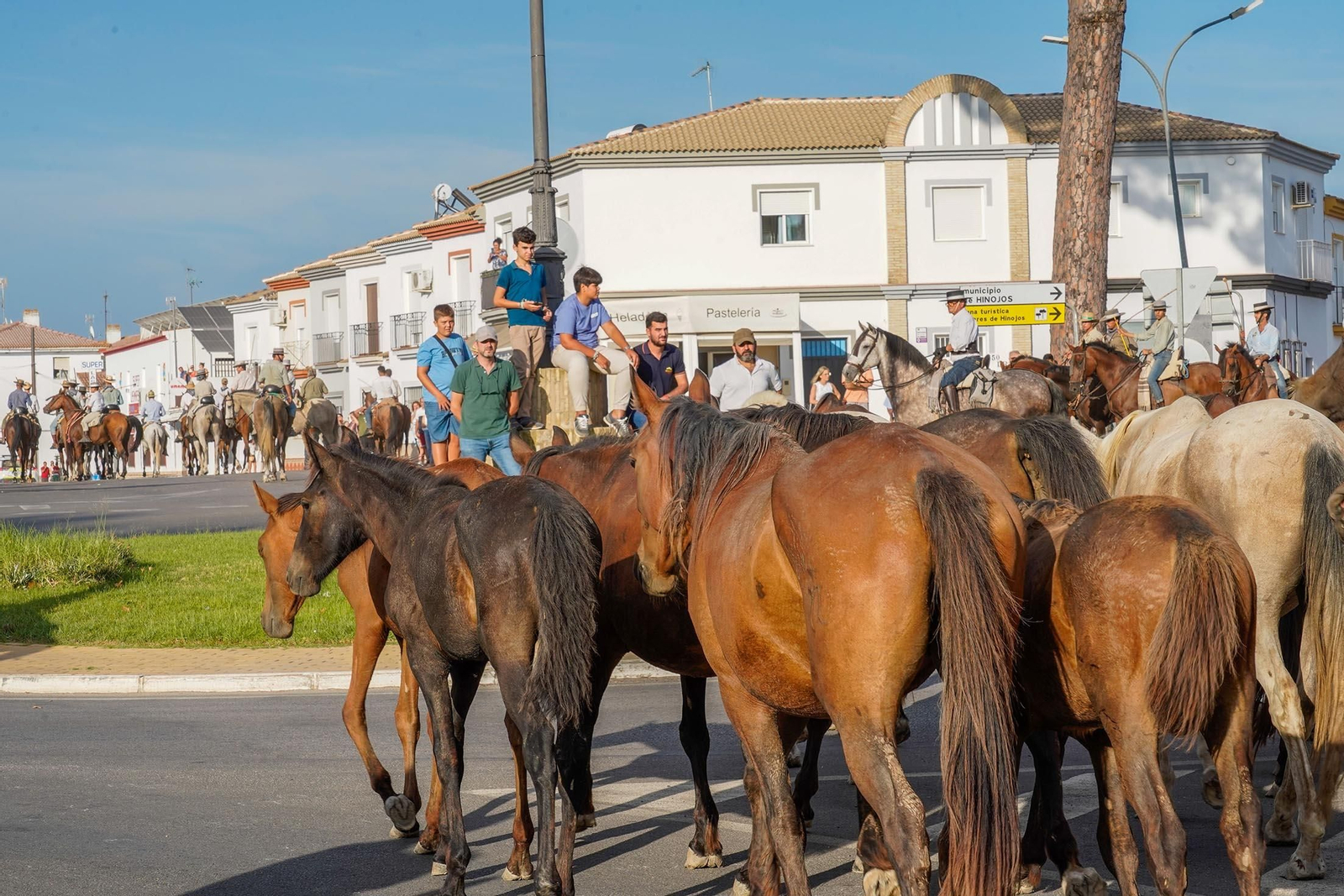 Las imágenes más destacas de la recogida de las yeguas en Hinojos