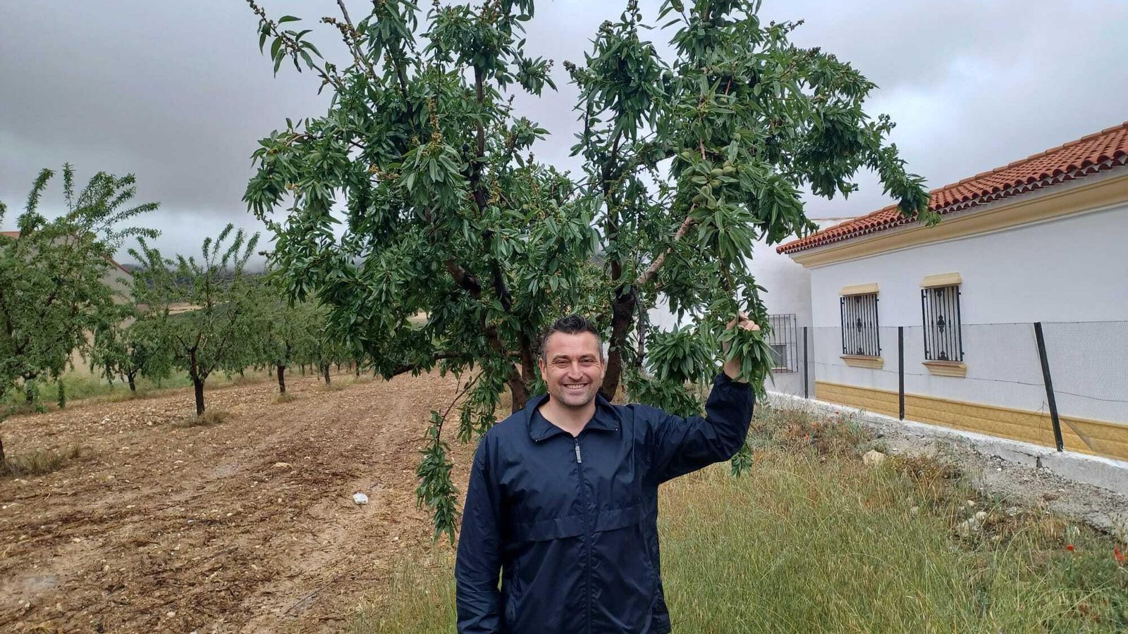 José Torregrosa, alcalde de Chirivel, ante algunos de los almendros de su finca en la nublada mañana de ayer.