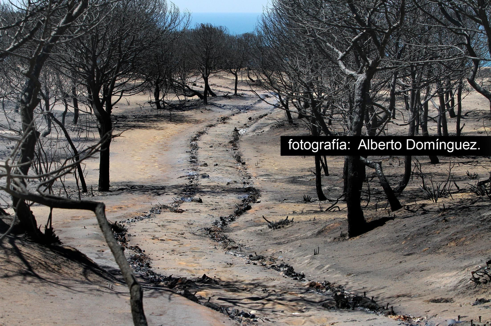 Imágenes de Cuesta Maneli tras el incendio.