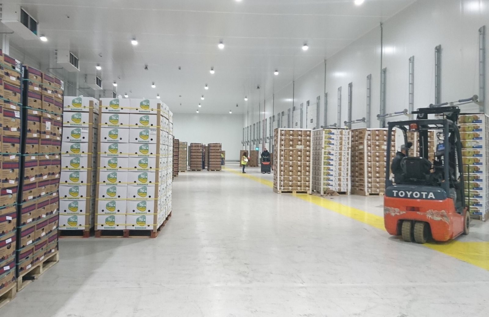 Instalaciones reefer en el Puerto de Algeciras.