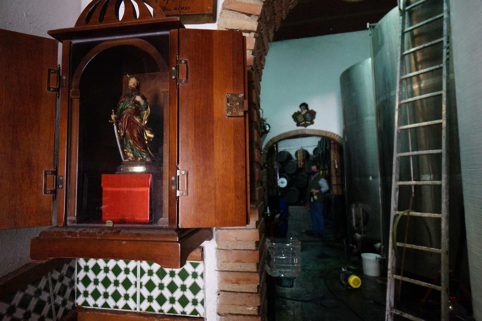 Un recorrido en fotografías por el vino nuevo de Moriles