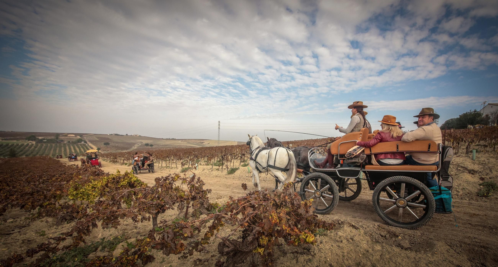Búscate en la III Ruta Viñas de Jerez de Enganches