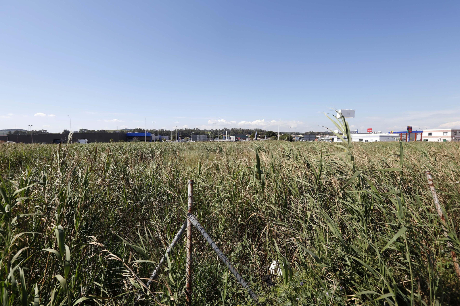 Los terrenos en los que se levantará la tienda de Bricomart en Los Barrios.