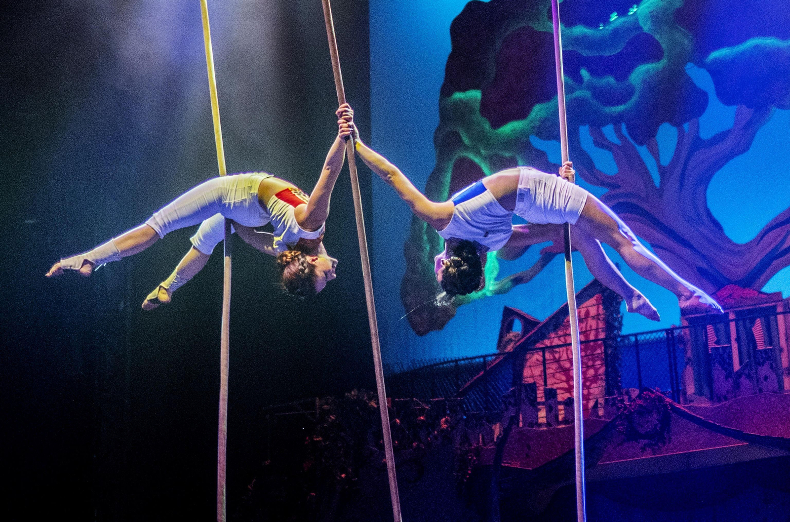 Trapecista en un circo