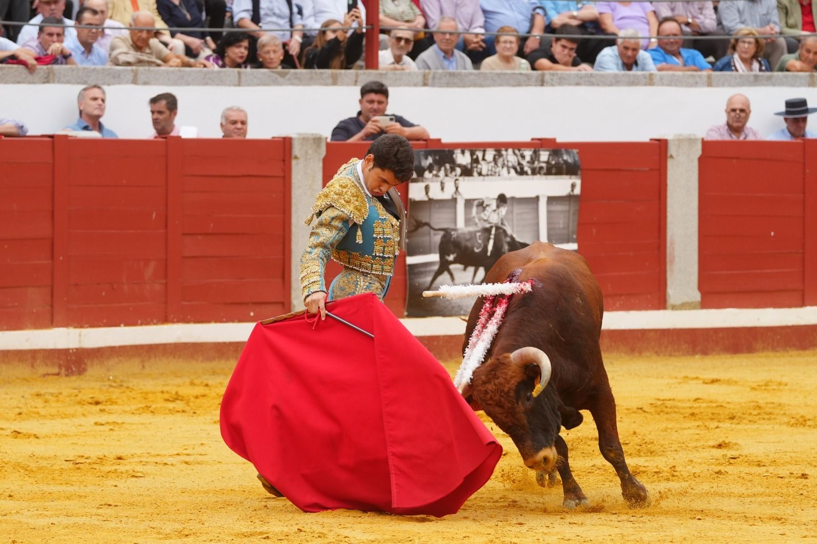 El mano a mano de los novilleros José Antonio de Gracia y El Candela en Pozoblanco, en imágenes