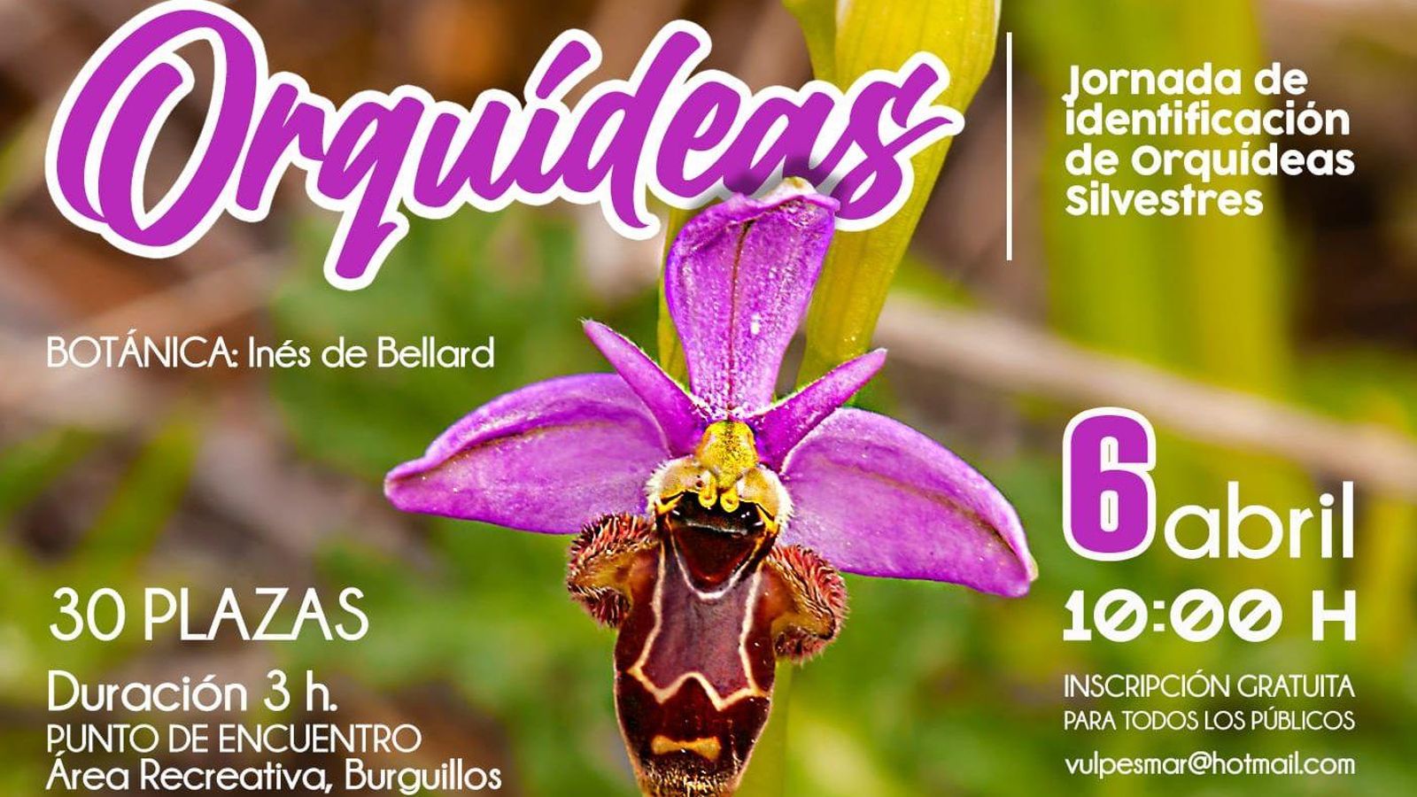 Cartel de esta actividad de ecoturismo para el domingo 6 de abril en Bailén.