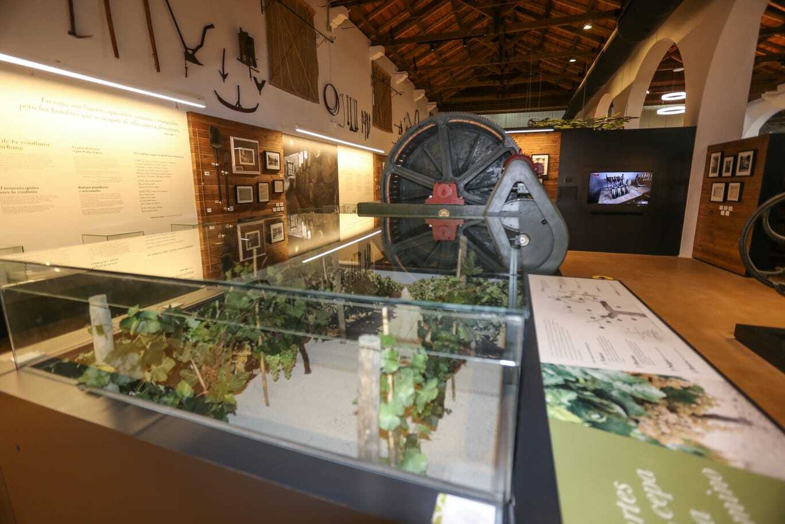 Una de las salas de las dependencias municipales situadas en la Plaza de Las Bodegas.
