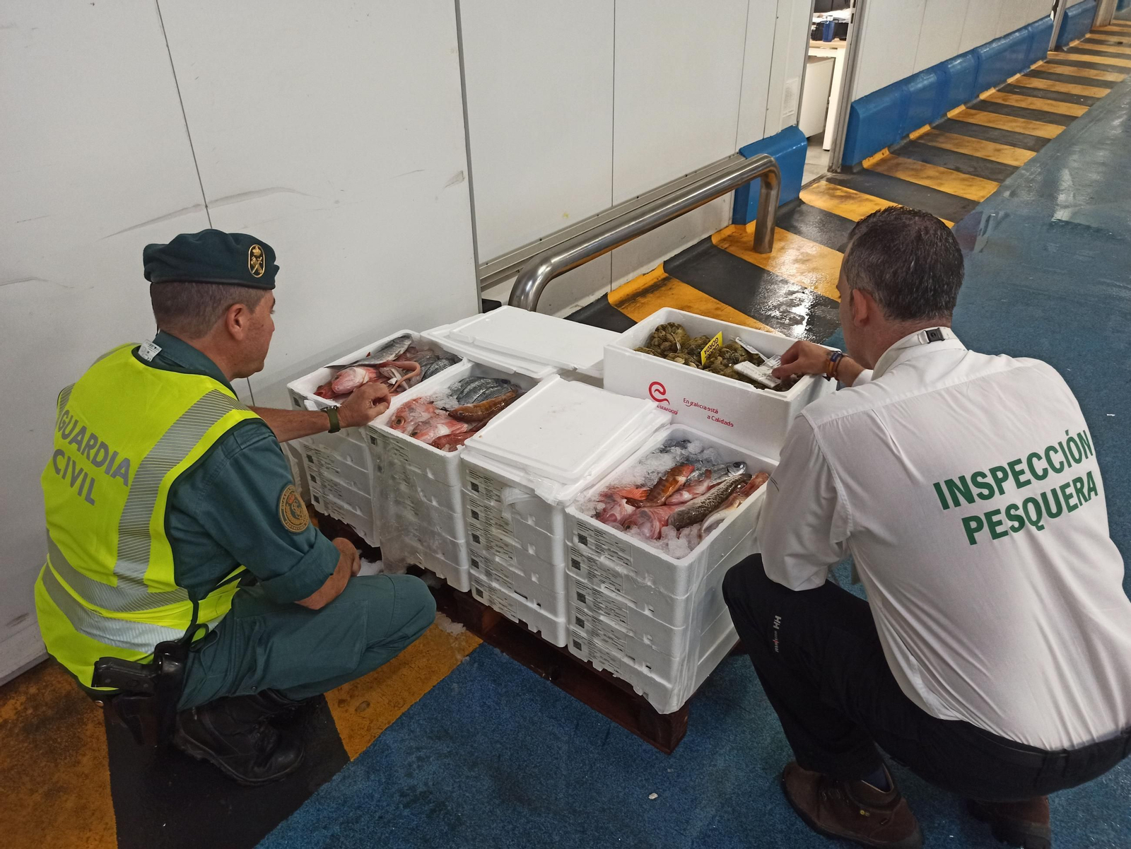 Pescado intervenido por la Guardia Civil.