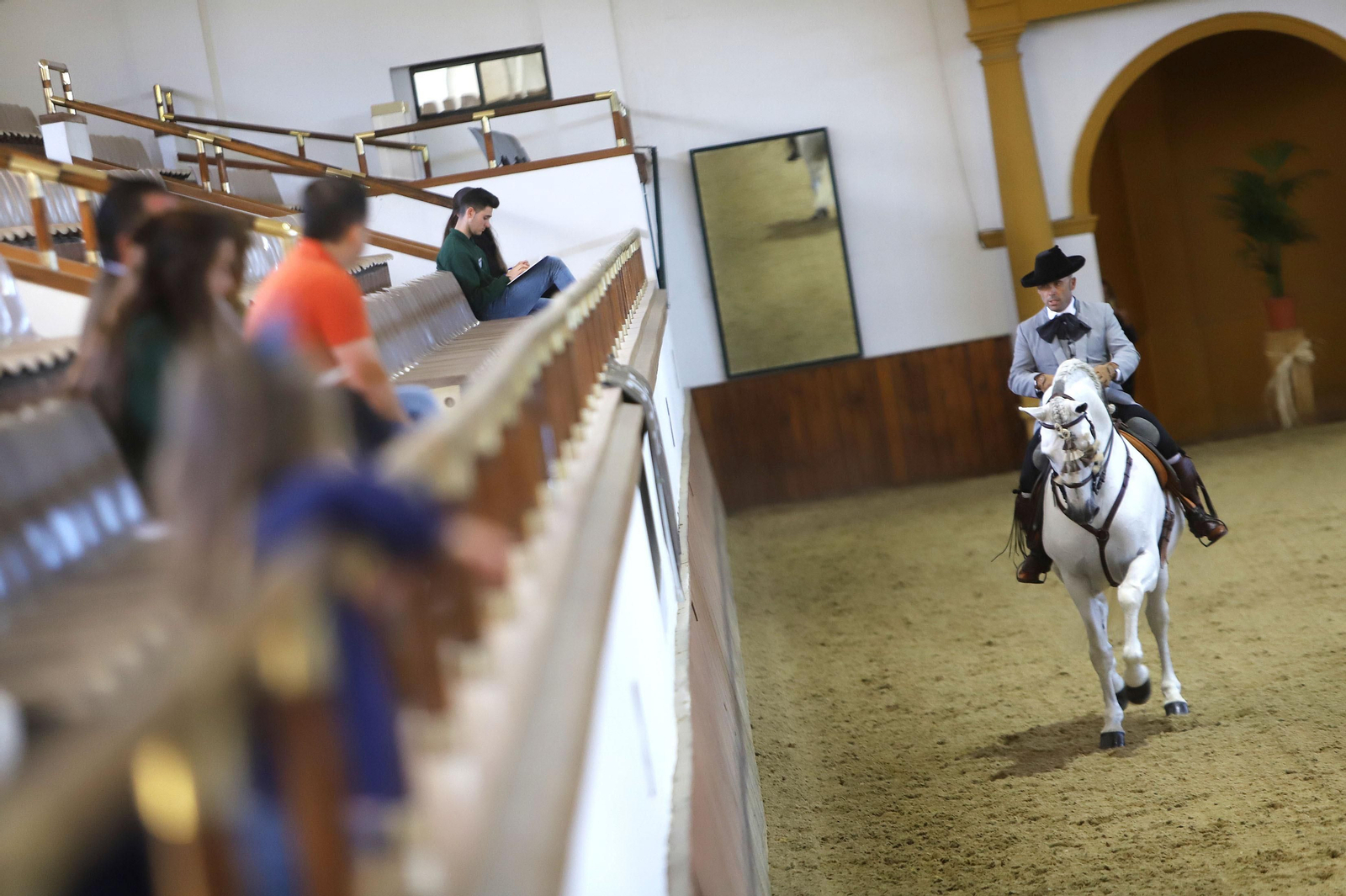 XVII Campeonato de Andalucía de Doma de Alta Escuela