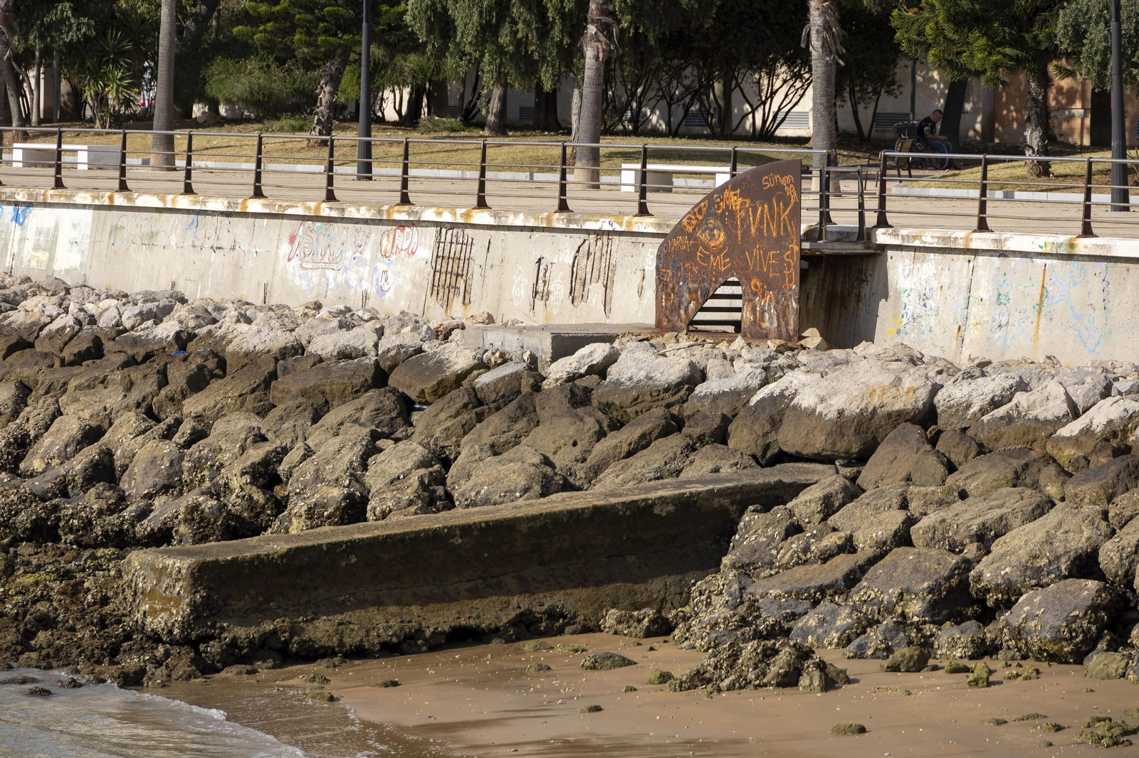 Las imágenes del mal estado de los paseos de Cádiz