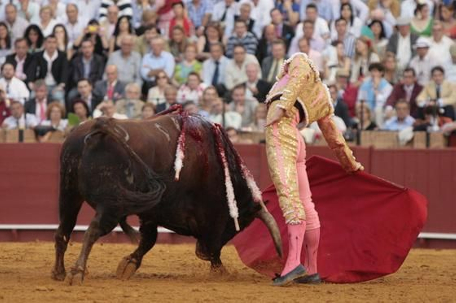 Luque cierra la tarde con el sexto toro.

Foto: Juan Carlos Muñoz