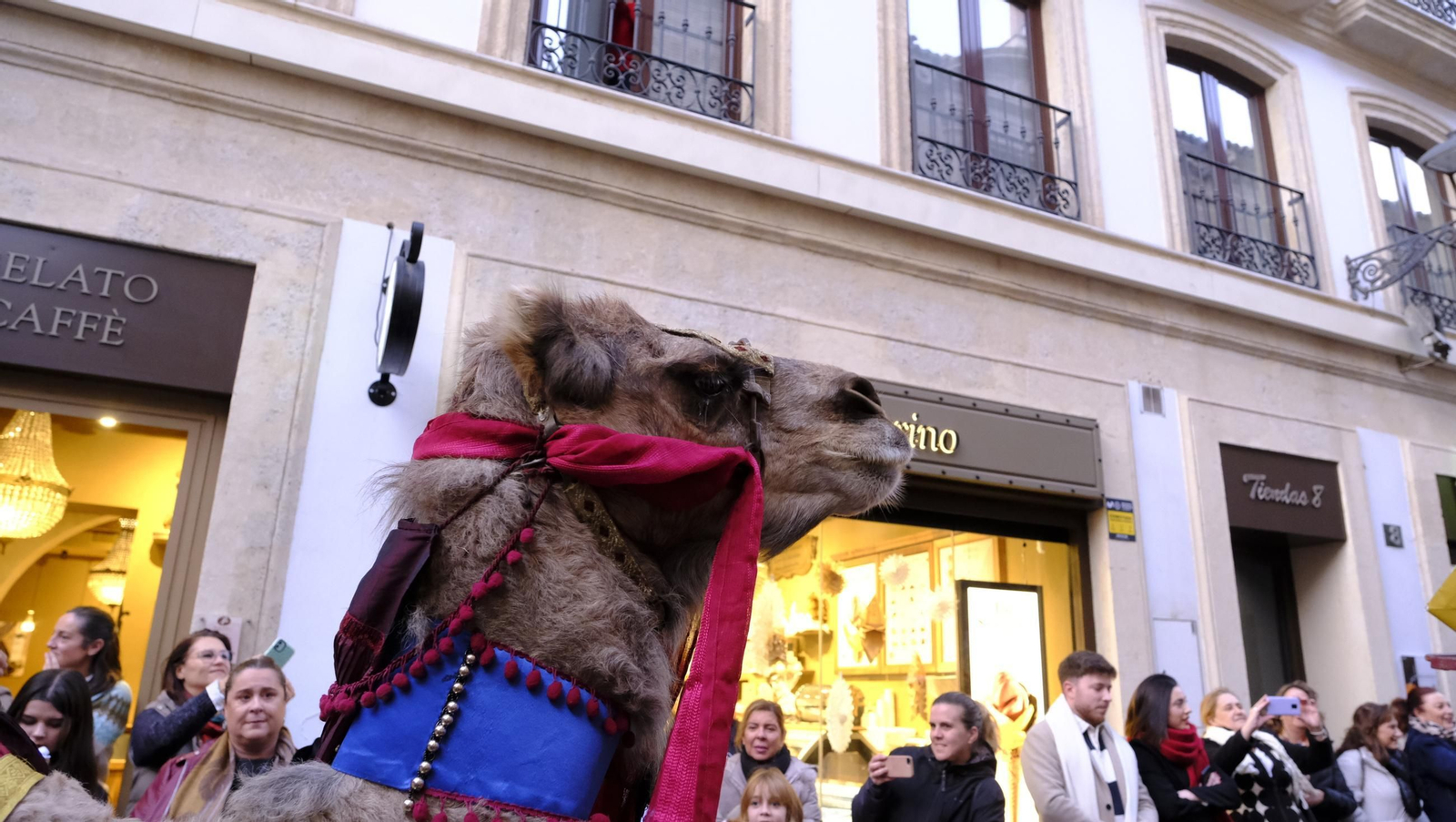La Cabalgata de Reyes Magos de Almería, en imágenes