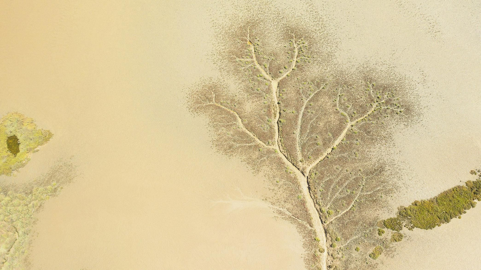 Día Mundial de Agua 2022