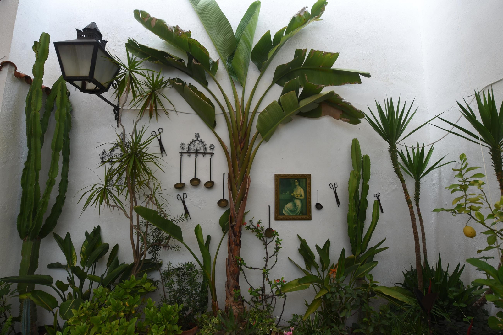 Una ruta en imágenes por los patios de la Judería y San Francisco